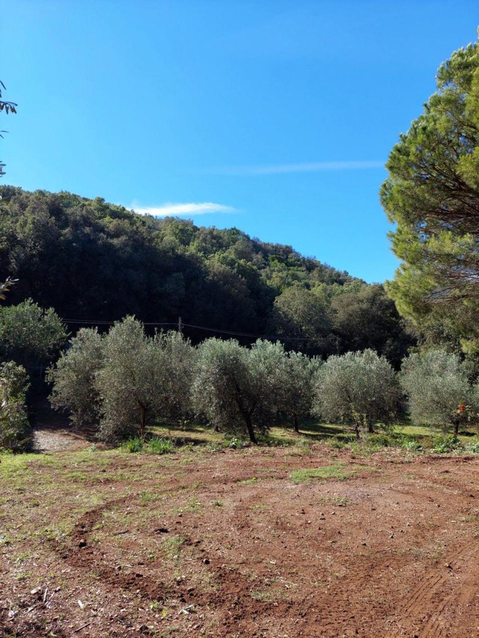 Agriturismo Paradisa Rio dellʼElba Exterior foto