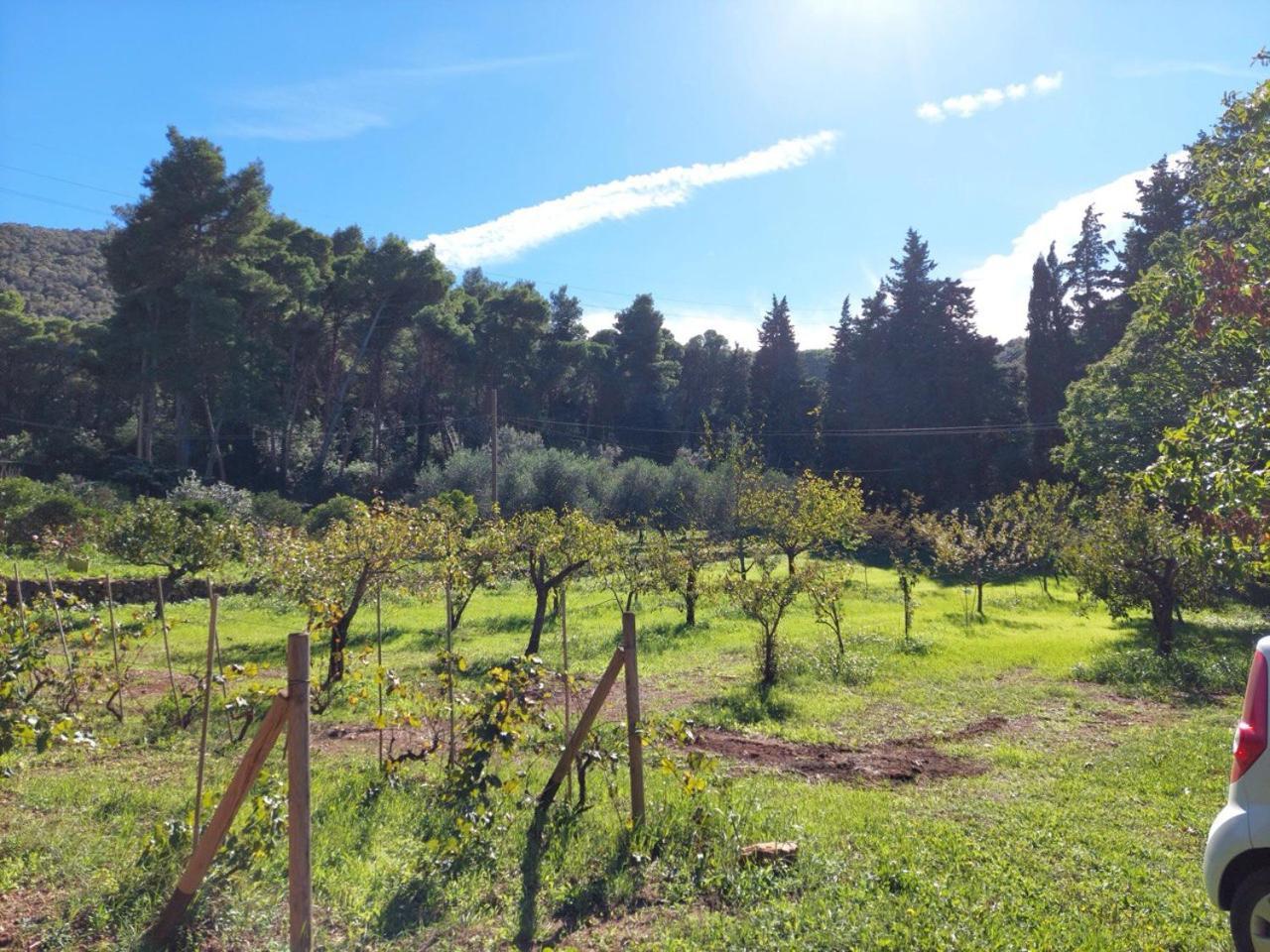 Agriturismo Paradisa Rio dellʼElba Exterior foto